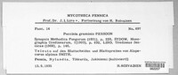 Puccinia graminis image